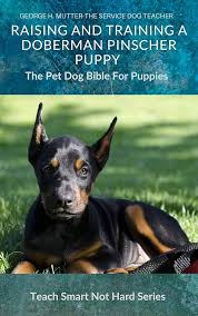 European Doberman puppies New York