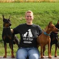 AKC Doberman Puppies New Hampshire
