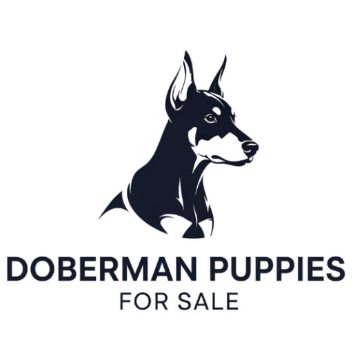 Doberman puppies for sale in Florida