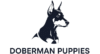 Doberman puppies for sale Ohio