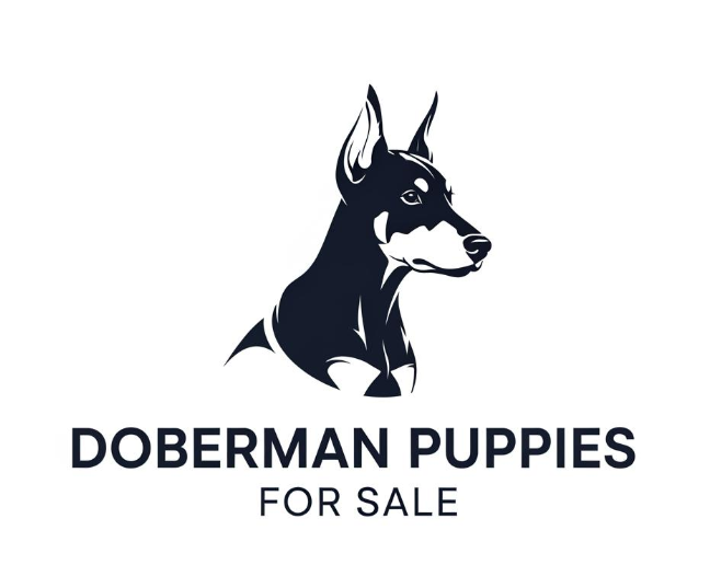 Doberman puppies for sale Ohio