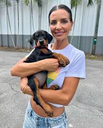 Licensed Doberman Breeders South Carolina